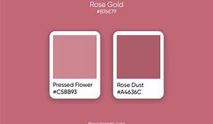 Image result for Light Rose Gold Color