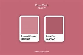 Image result for Rose Gold Stansteel Code Color