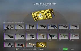 Image result for CS 20 Case