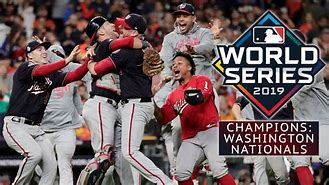 Image result for 2019 World Series Champions
