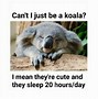 Image result for Mad Koala Meme