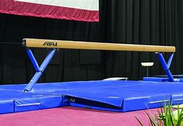 Image result for AAI Gymnastics Equipment