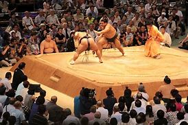 Image result for Sumo Moves