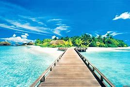 Image result for Beach Nature Wallpaper