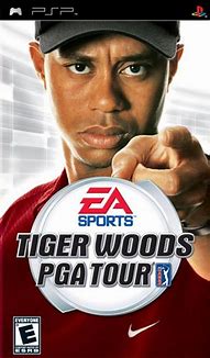 Image result for Tiger Woods PGA Tour 13