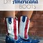 Image result for American Flag Colors Foot Wear