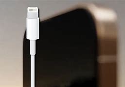 Image result for Apple Lightning Port
