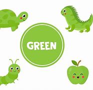Image result for Green Colour for Kids