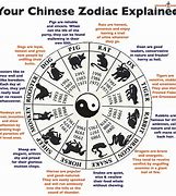 Image result for What Is My Chinese Zodiac 2012