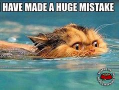 Image result for Mistake Cat Meme