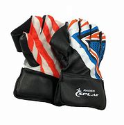 Image result for Bas Club Wicketkeeper Gloves
