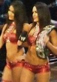 Image result for Brie Bella Wrestler