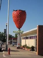 Image result for World's Biggest Strawberry