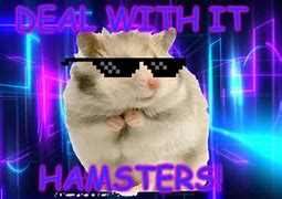 Image result for Hamster Cult Meme