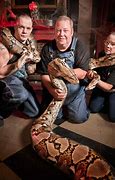 Image result for Guinness World Records Biggest Snake