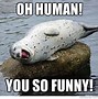 Image result for Seal in Water Meme