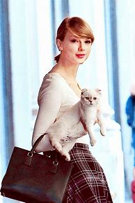 Image result for Taylor Swift and Cats