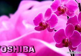Image result for Toshiba Wallpaper Flower