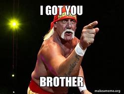 Image result for You Got It Brother Meme