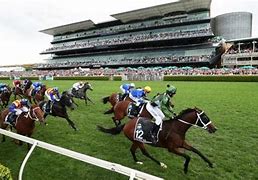 Image result for Types of Horse Racing