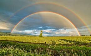 Image result for Rainbow HD