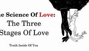 Image result for 4 Stages of Love Meme