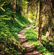 Image result for rahyndee-hiking-on-orgasm-trail