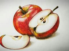 Image result for Fresh Apple Sketch