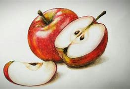 Image result for How to Draw a Real Apple