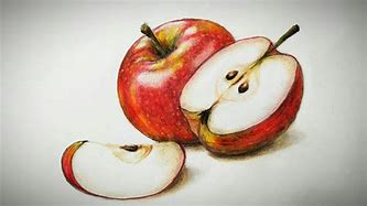 Image result for Sliced Apple Drawing Easy