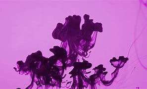 Image result for Dynamic Purple Ink