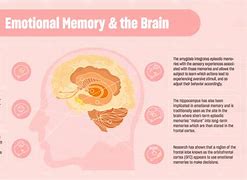 Image result for Emotion Long-Term Memory