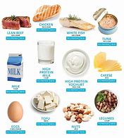 Image result for Non-Animal Protein Sources