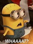 Image result for Say What Minion