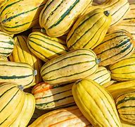 Image result for Common Squash Types