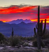 Image result for Arizona Nature Wallpaper