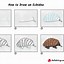 Image result for Echidna Line Drawing