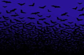 Image result for Stringed Bats