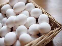 Image result for Some Eggs