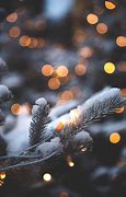 Image result for Winter Fairy Lights Background Image