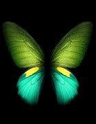 Image result for Samsung Galaxy Fold Wallpaper