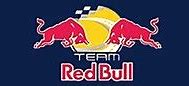 Image result for Red Bull Soccer Logo