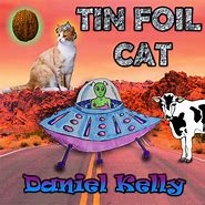 Image result for Tin Foil Cat