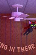 Image result for Hang in There Cat Funny