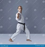 Image result for Karate Images. Free
