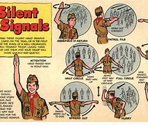 Image result for Scout and Guide Whistle Signals
