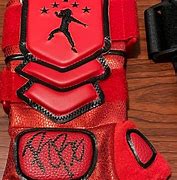 Image result for Roman Reigns Book Bags