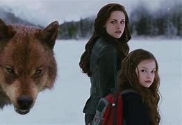 Image result for Twilight Wolves