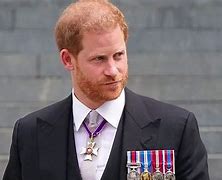 Image result for Prince Harry with Metals