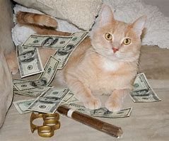 Image result for Rich Cat Meme